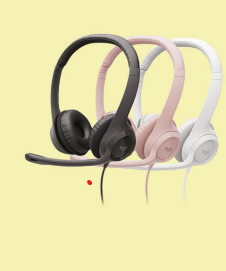 H390 USB Headset